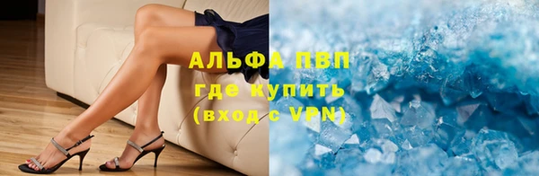 СК Надым