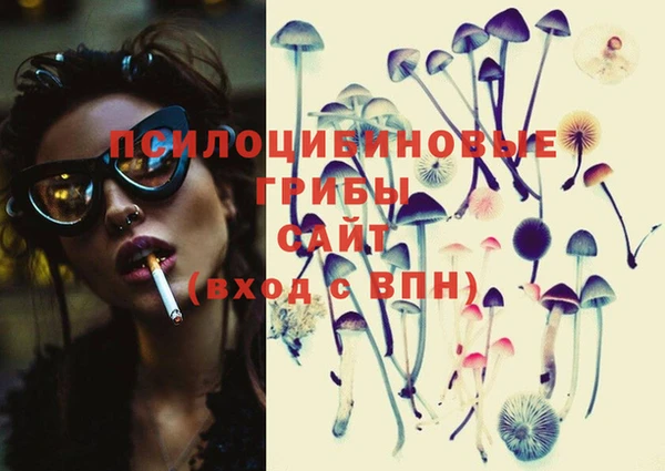 молекула духа Михайловка