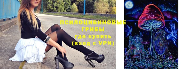 молекула духа Михайловка