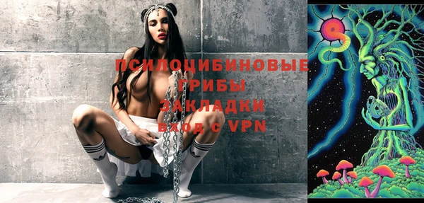 сатива Михайловск