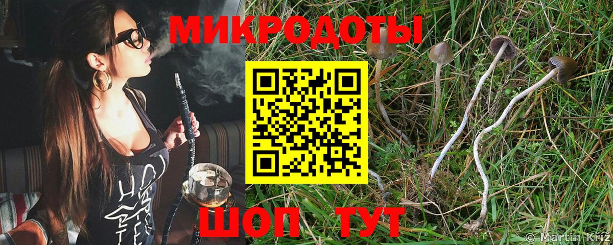 Псилоцибиновые грибы Psilocybe  Псилоцибиновые грибы Psilocybine cubensis  Вход с VPN  Тобольск 
